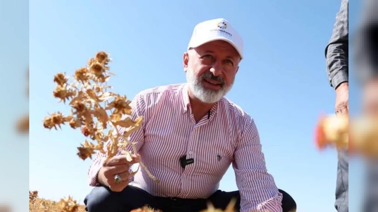 Kayseri Kocasinan'da Aspir Hasadı: Belediyeden İhtiyaç Sahiplerine Yağ Desteği