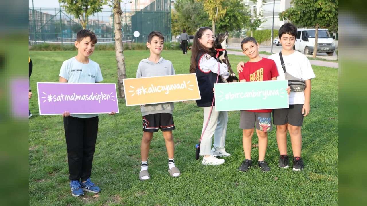 Nilüfer'de Sokak Hayvanları İçin Anlamlı Buluşma: Can Dostlar Yuva Arıyor