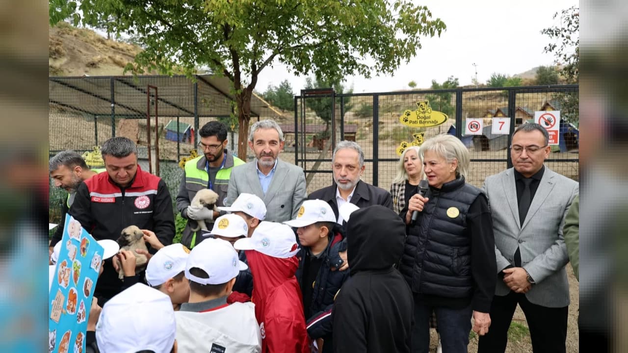 Talas Pati Evi Doğal Yaşam Alanında 4 Ekim Coşkusu: 11 Binden Fazla Can Dostuna Yuva Oldu