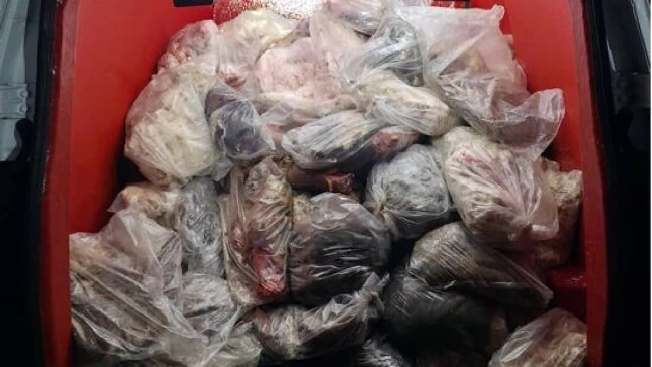 Diyarbakır'da 820 kilogram menşei belirsiz sakatat ve içyağı ele geçirildi