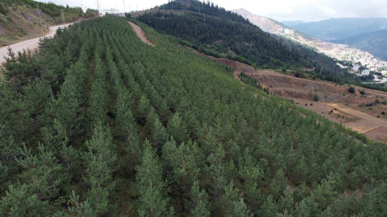 Eti Bakır Sektörde İlk İklim ve Doğa Raporunu Yayımladı