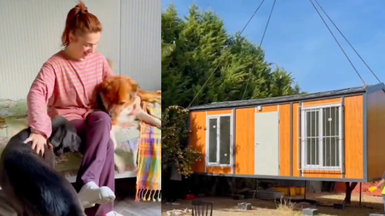 Ceylan Ertem Köpekleri İçin Konteyner Ev Kurdurdu