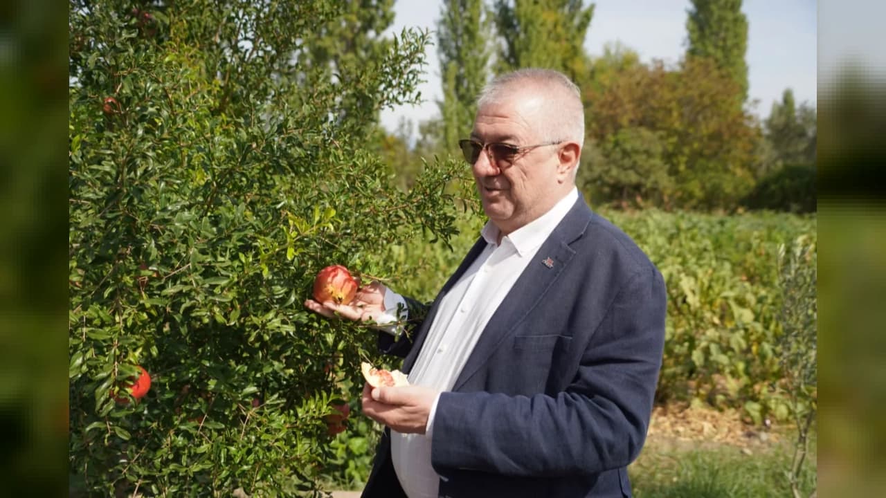 Edremit'te 137 çeşit ata tohumu koruma altına alındı