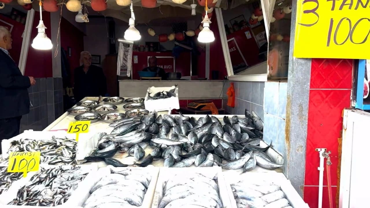 Doğu Karadeniz'de palamut bolluğu: 3 tanesi 100 TL'ye satılıyor