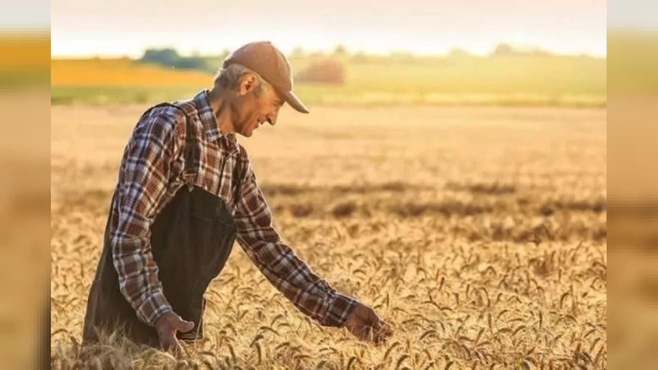 Tarım-ÜFE eylülde aylık yüzde 1,99 geriledi yıllık yüzde 12,93 arttı