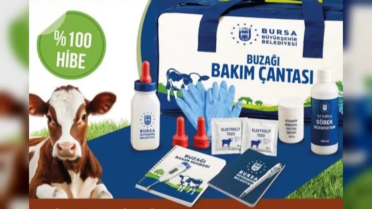 Bursa'da Büyükbaş Yetiştiricilerine Buzağı Bakım Çantası Desteği