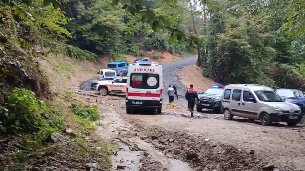 Sakarya'da kestane toplamak için ormana giden Durmuş Duran ölü bulundu