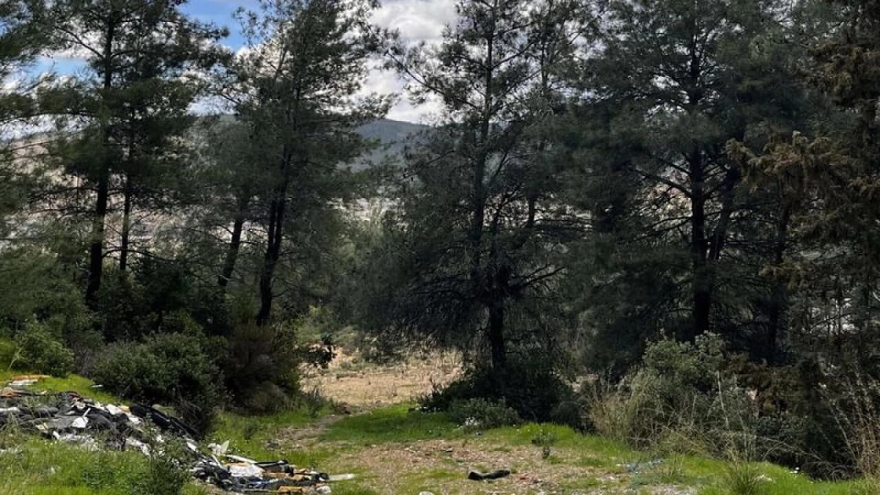 Danıştay'dan Akbelen'de acele kamulaştırma kararına onay