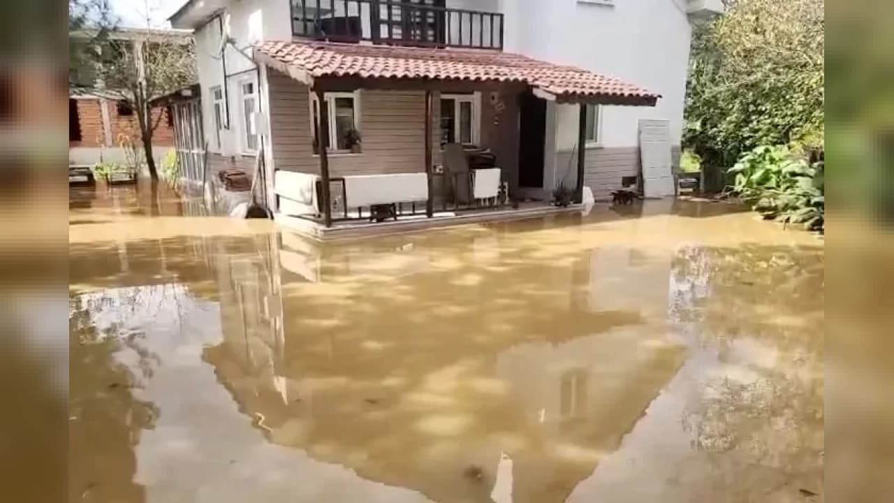 Düzce'nin Gölyaka ilçesinde yağış nedeniyle su baskınları yaşandı