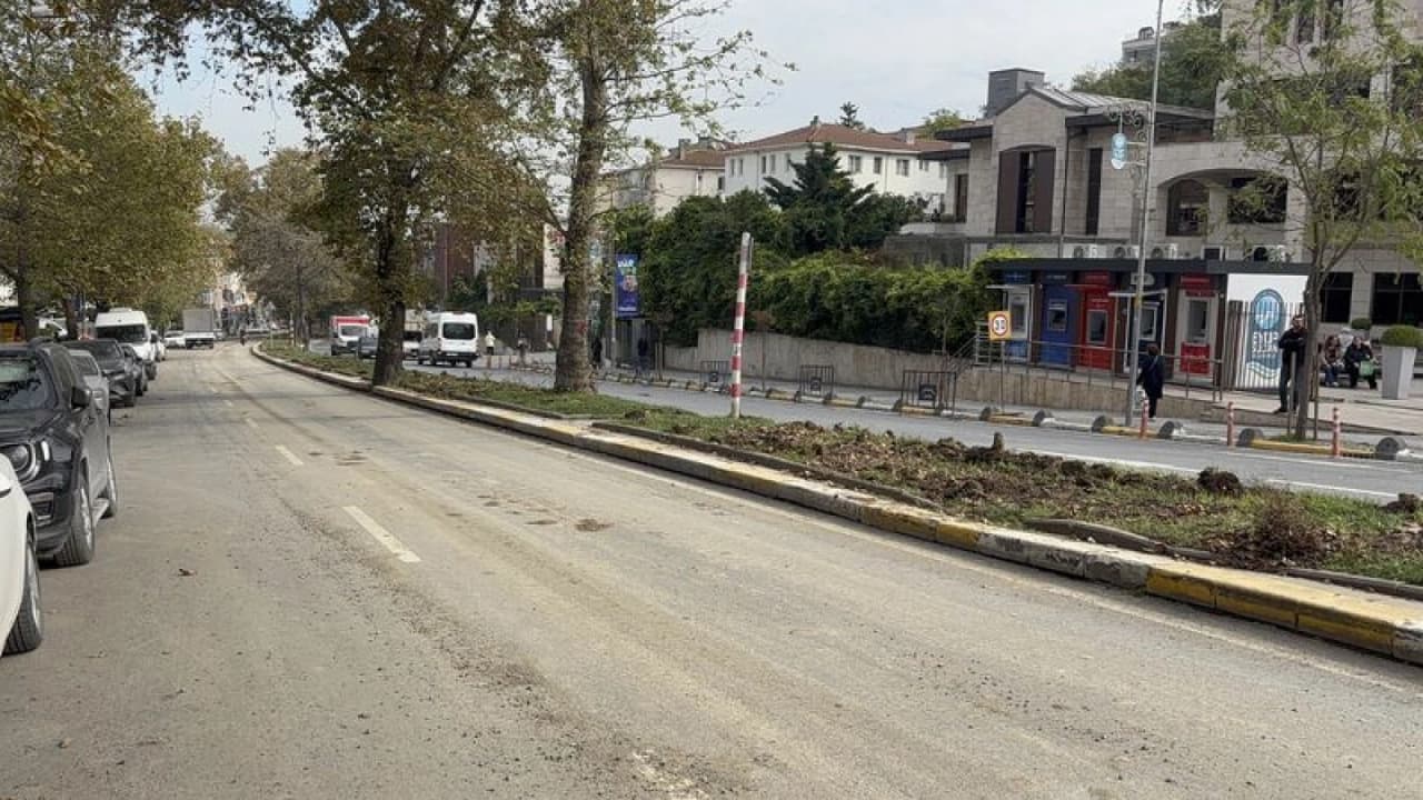 Eyüpsultan'da tramvay hattı için ağaç kesildiği iddiasına tepki
