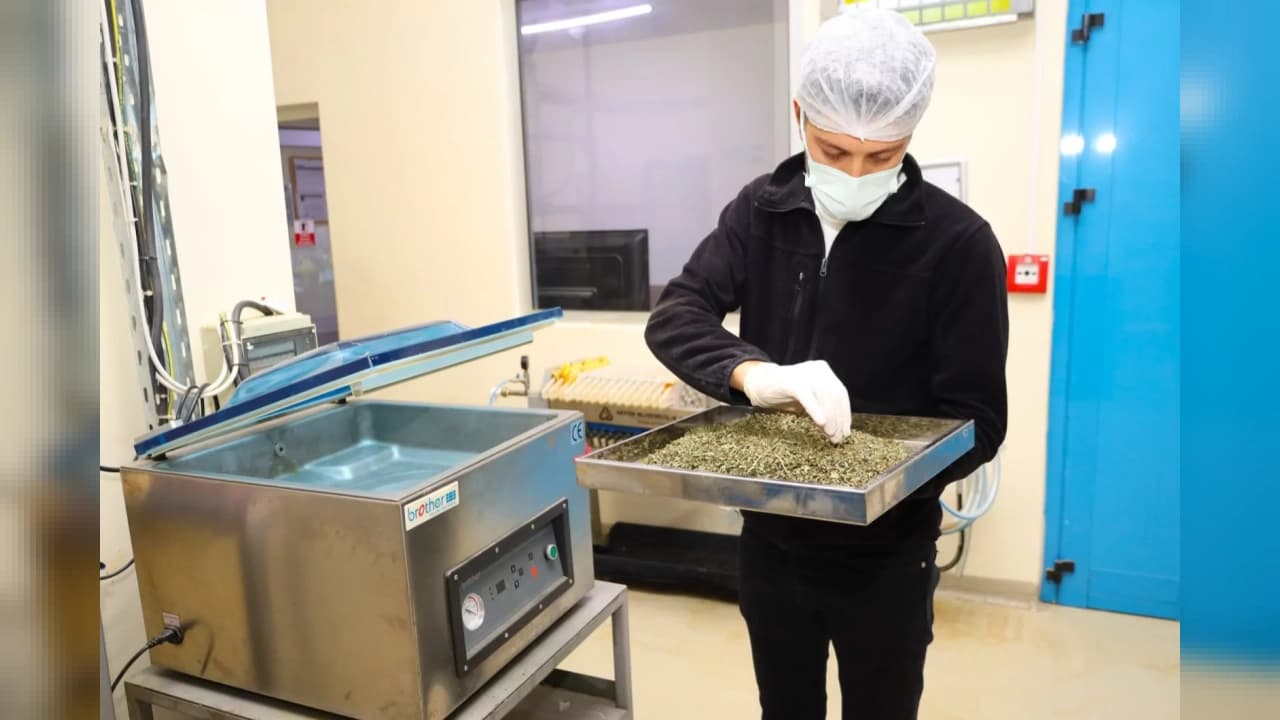 Kocaeli'de yetiştirilen tıbbi ve aromatik bitkiler katma değerli ürüne dönüşüyor