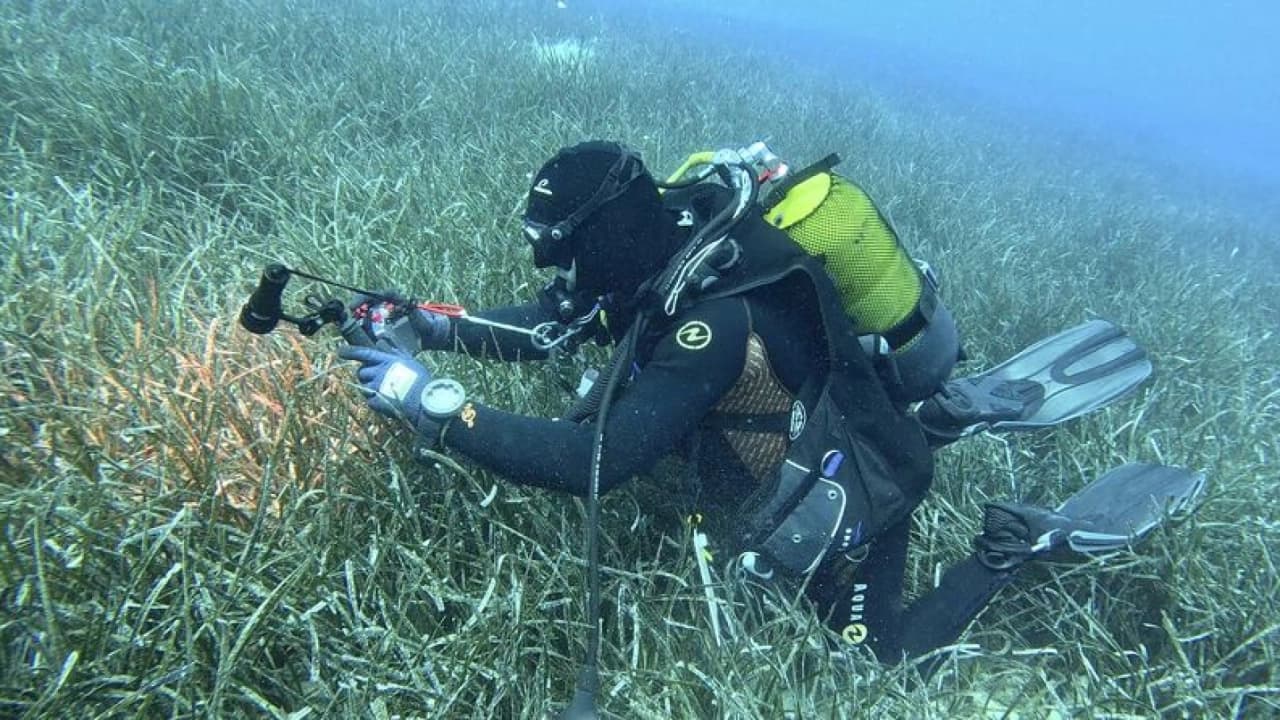Göcek'teki deniz çayırları için önceliklendirme modeli geliştirildi