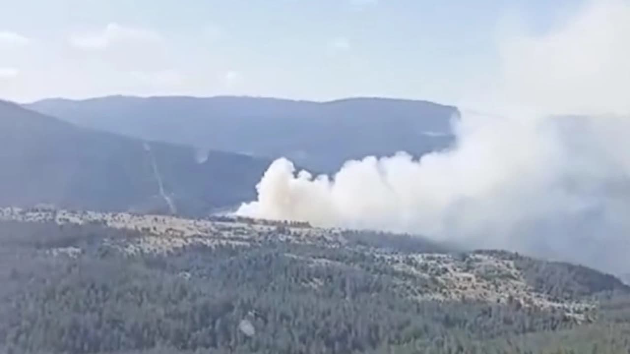 Kastamonu'da kasten orman yakan sanığa 8 yıl 4 ay hapis cezası