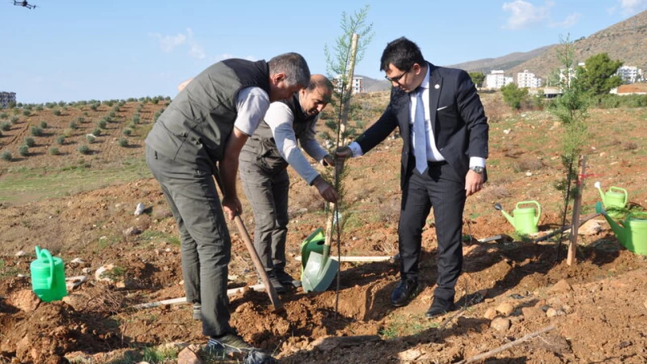 Mersin'de Şehit Savcı Kiraz Hatıra Ormanı'na 1000 Fidan Dikildi