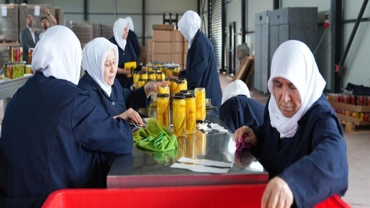 GÜRSU'DA TARIMSAL ATIKLARI AZALTMAK İÇİN MEYVE TURŞUSU ÜRETİLİYOR