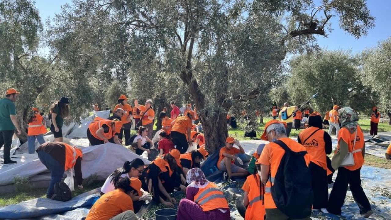 Mersin'de LÖSEV'den İyilik Hasadı Etkinliği