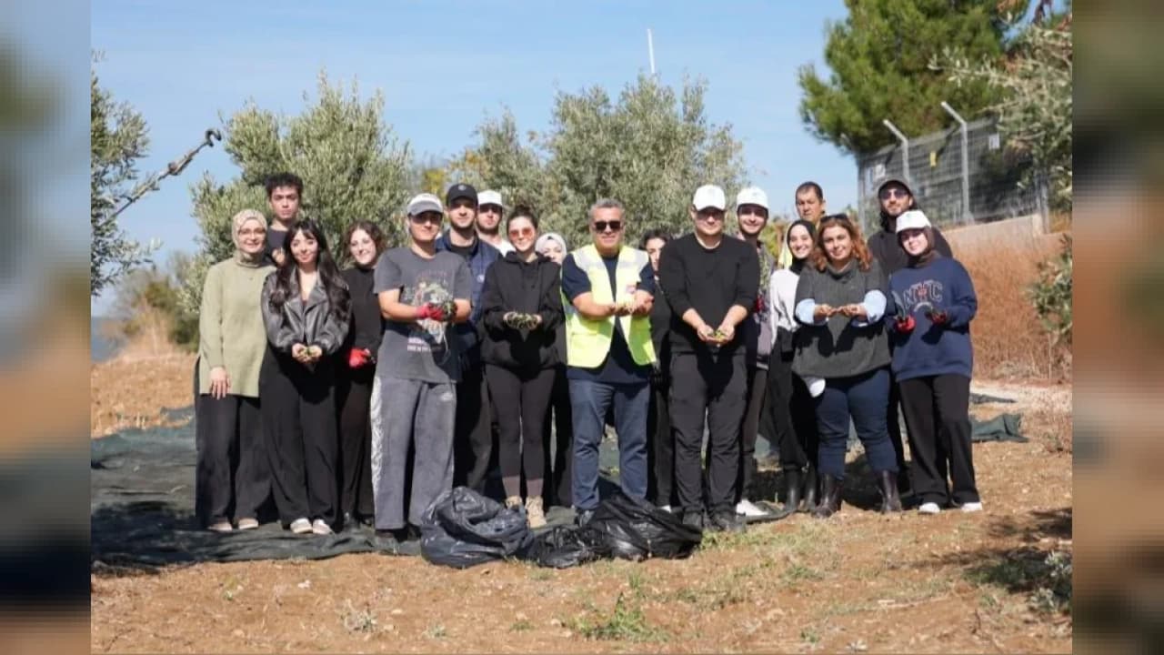 Tekirdağ'da gençlere zeytin bahçesinde uygulamalı hasat eğitimi