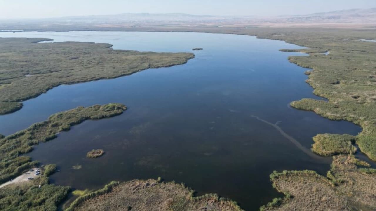 Eber Gölü'ndeki yangınlar sonrası saz kedisi ve çakal görülmedi
