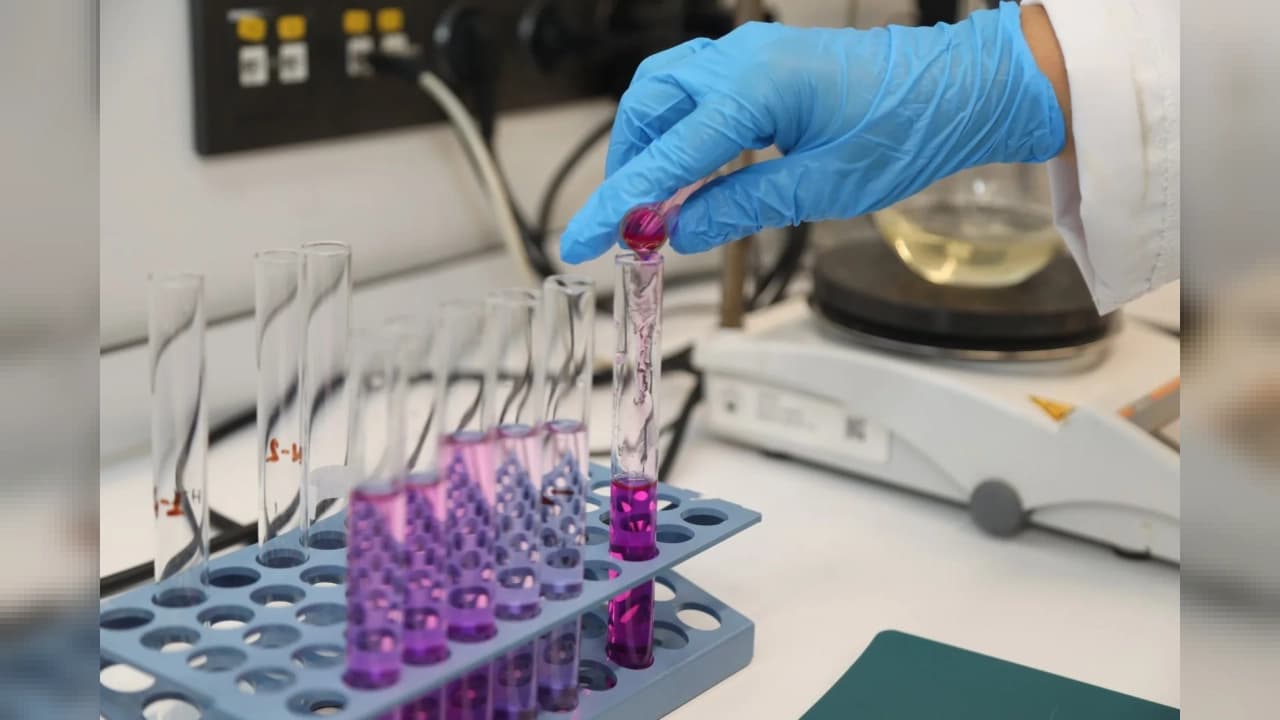 BTÜ Akademisyenlerinden pH Değişimini Renkle Gösteren Akıllı Yara Örtüsü