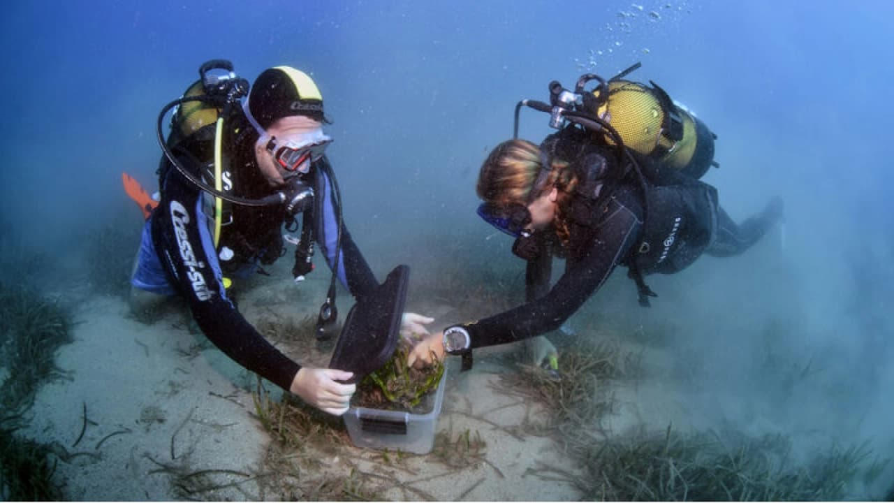 Antalya'da Üç Adalar Projesi İçin Saha Ziyareti Yapıldı