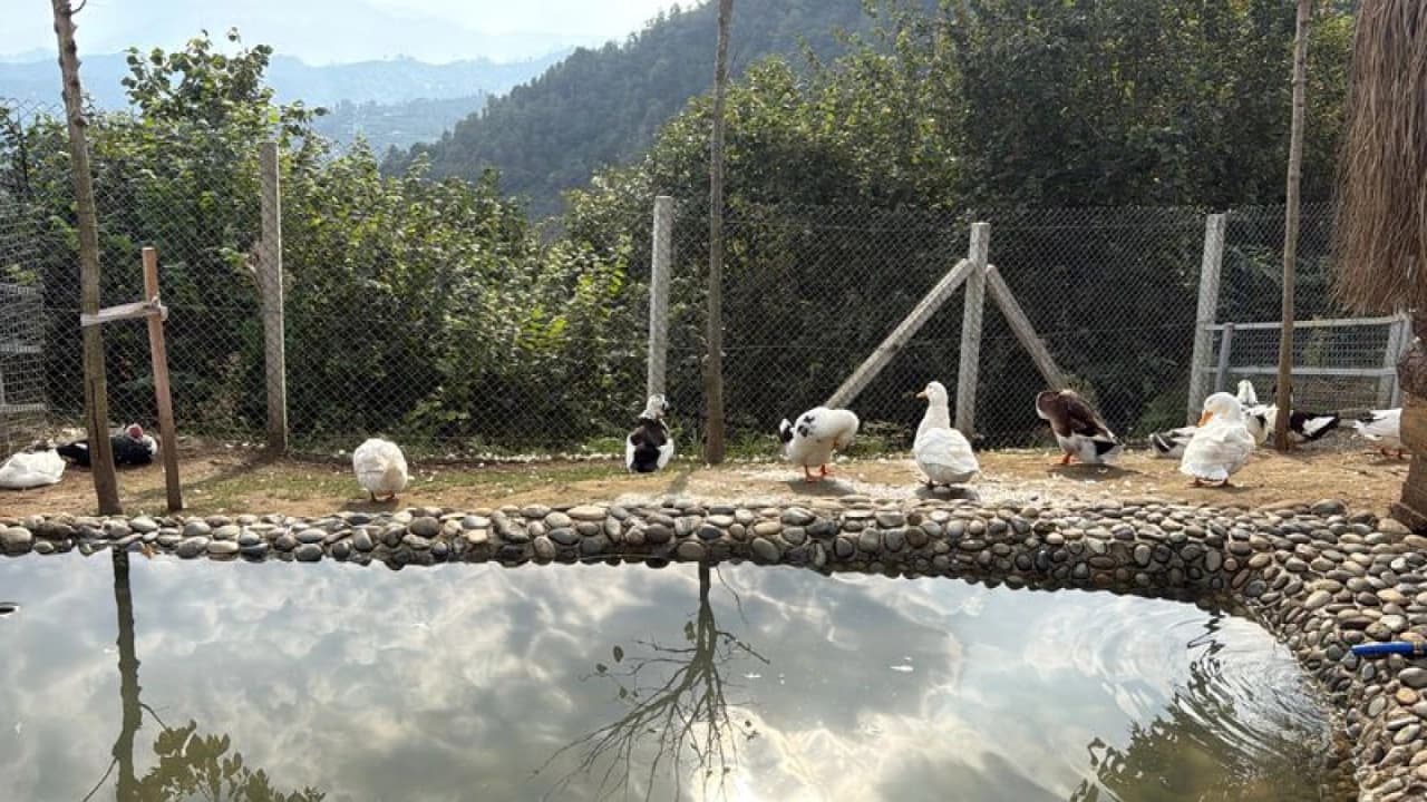 Rize'de Hobi Hayvanat Bahçesi Açıldı: 750'den Fazla Canlı Yer Alıyor