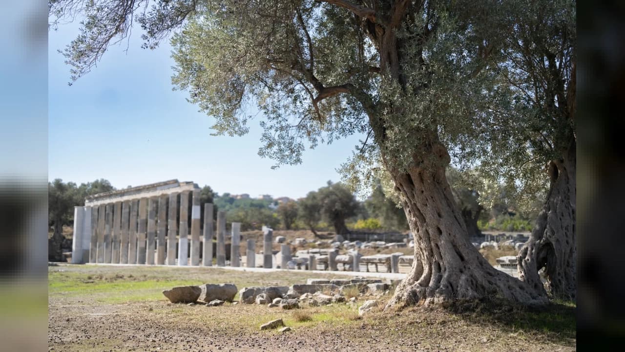 Teos Antik Kenti'ndeki 2.200 yıllık meclis binası gün yüzüne çıkarıldı