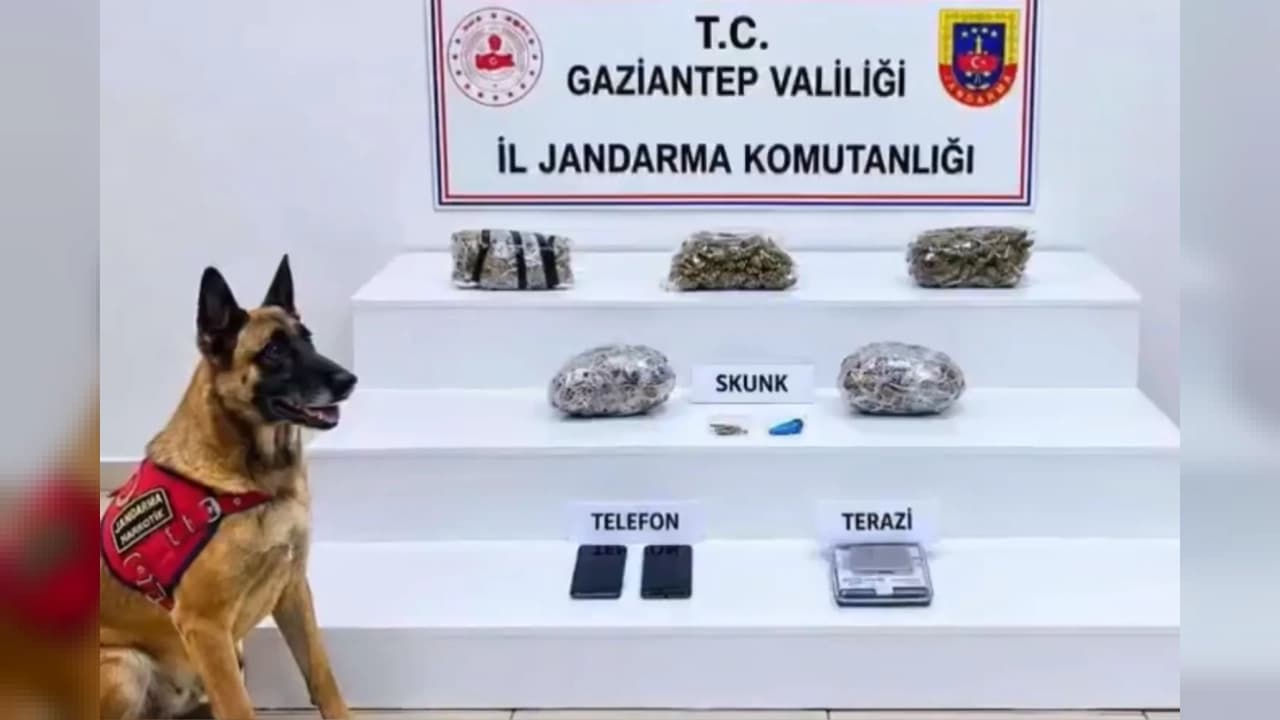 32 İlde Uyuşturucu Operasyonu: 423 Şüpheli Yakalandı