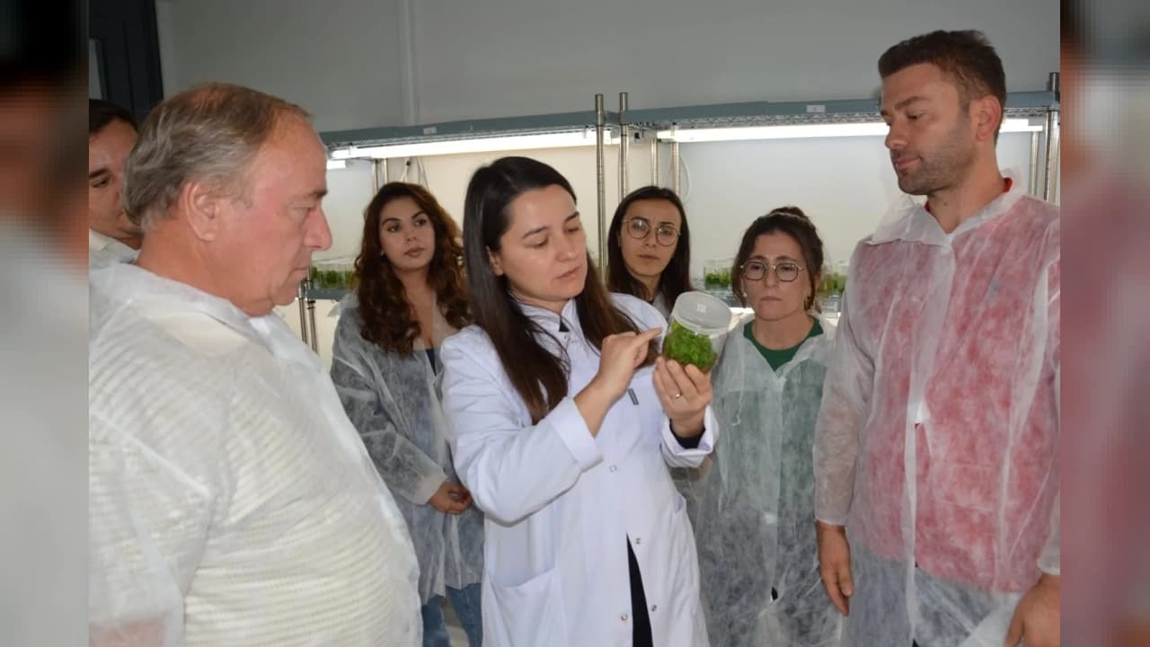 BAÇEM'de Altıncı Bitki Doku Kültürü Kursu Tamamlandı