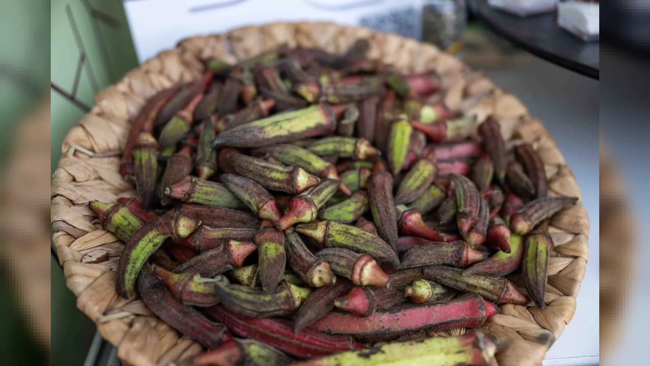 Bornova Kınalı Bamyası İzmir GastroFest'te Tanıtıldı