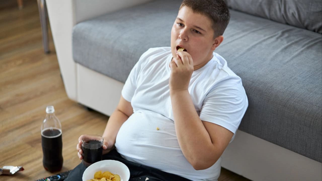 DSÖ'den Çocukluk Çağı Obezitesi İçin Yeni Rehber: Öncelik İlaç Değil
