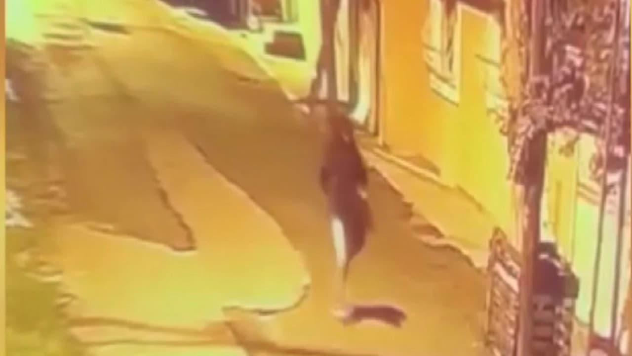 Pendik'te kuryeye silahlı saldırı soruşturmasında 15 şüpheli gözaltına alındı