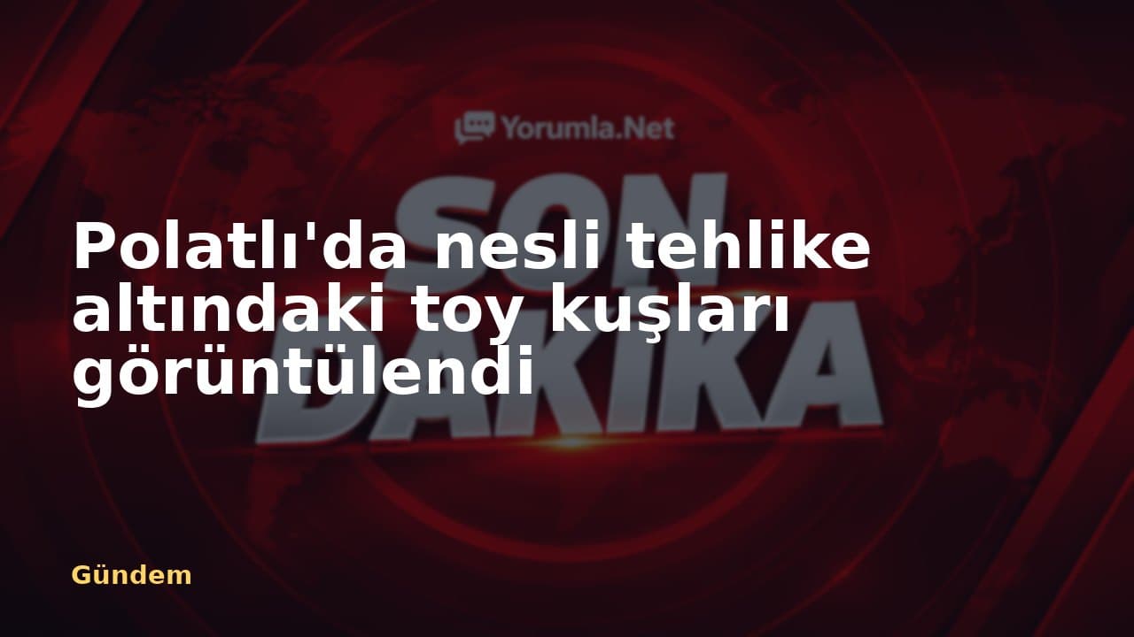 Polatlı'da nesli tehlike altındaki toy kuşları görüntülendi