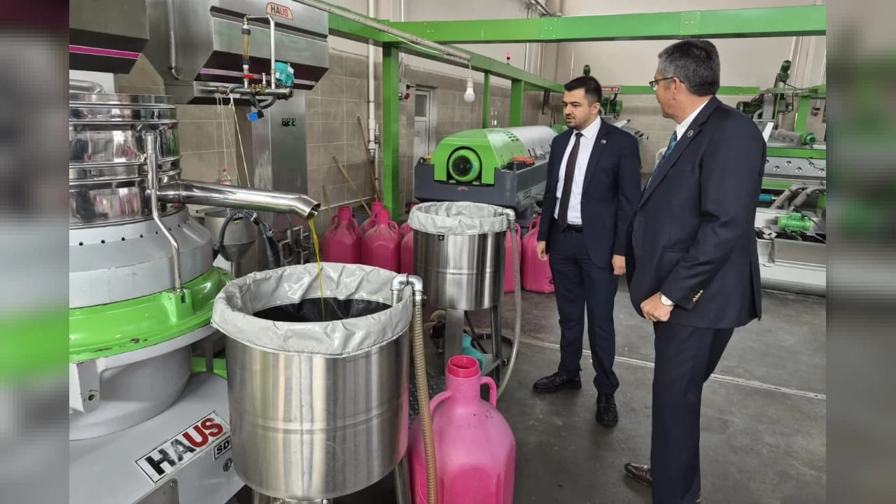 Anahtar Parti'den Akhisar'da zeytin üreticilerine ziyaret