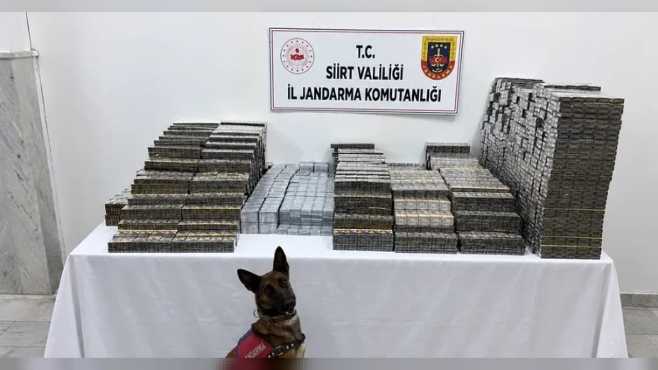 Siirt'te kömür çuvalları arasında binlerce paket kaçak sigara yakalandı