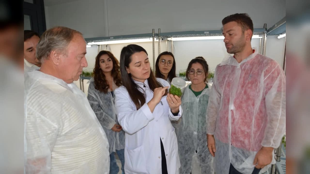 Balıkesir'de 6. Bitki Doku Kültürü Kursu'na yoğun katılım