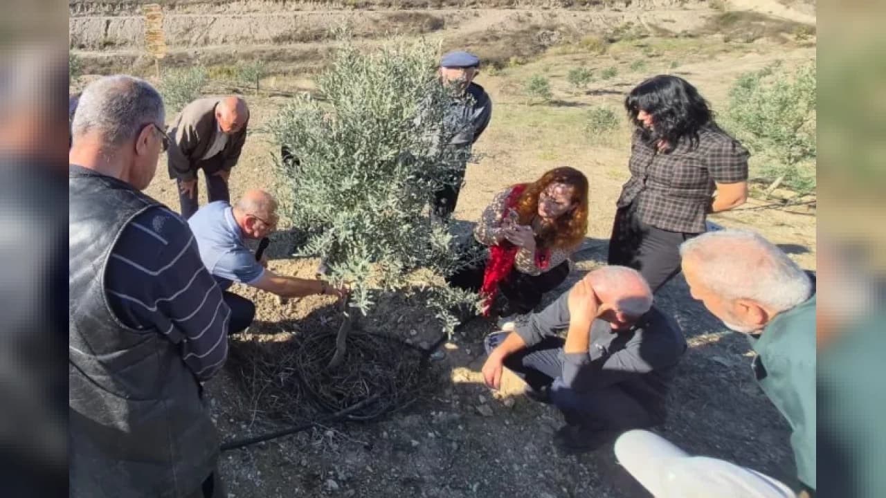 Eskişehir'de üreticilere uygulamalı zeytincilik eğitimi verildi