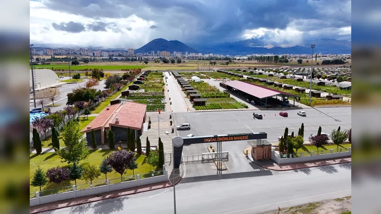 Kayseri'de Pınarbaşı kimyonu için özel üretim alanı kuruluyor