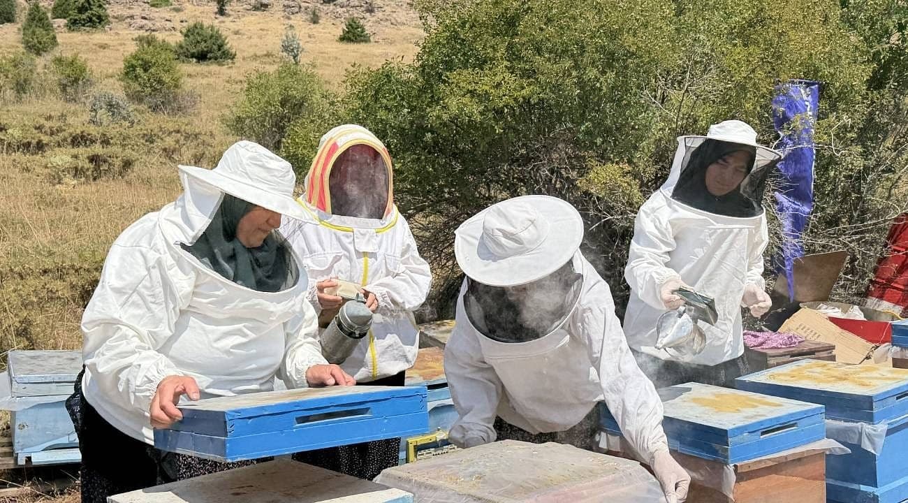 Yahyalı’da kadın girişimcilerden tatlı başarı: 5 kovanla başladılar, 3 ton bal ürettiler!