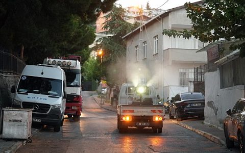 Maltepe'de haşere ve sivrisinekle mücadele: İlaçlama çalışmaları hangi mahallelerde sürüyor?