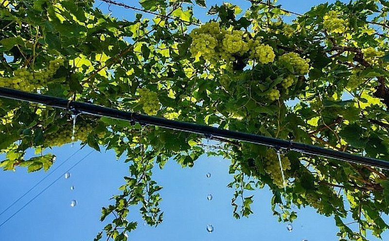 Alaşehir Ovası'na müjde: DSİ'nin dev sulama projesiyle milli ekonomiye yılda 761 milyon TL katkı!