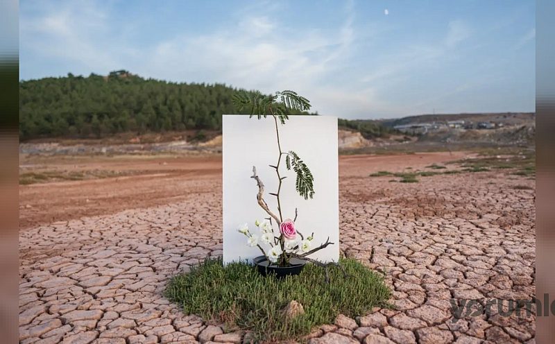 Üniversitelerden COP31’e akademik ilgi: 3 bin 373 başvuru