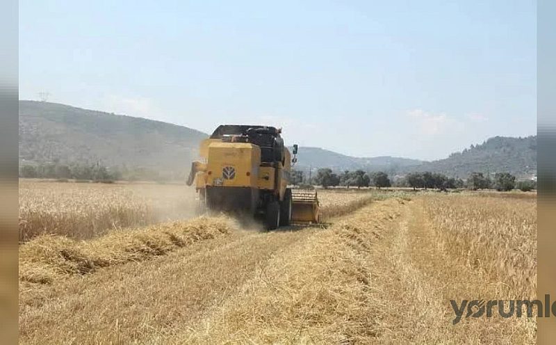 Çiftçilerin hesaplarına tarımsal destekleme ödemeleri aktarılacak
