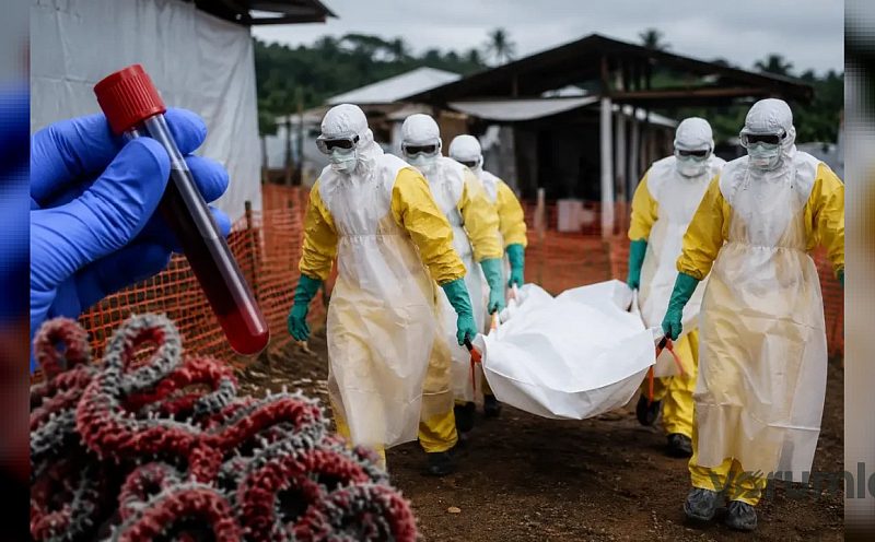 Ituri’de Ebola sürüyor: vaka-ölüm oranı %47, ithal vakalar bildirildi