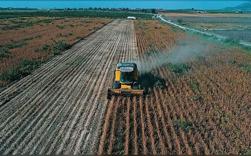 Tarım ve Orman Bakanlığı 195,6 milyon lira tarımsal destek ödemesi yapacak