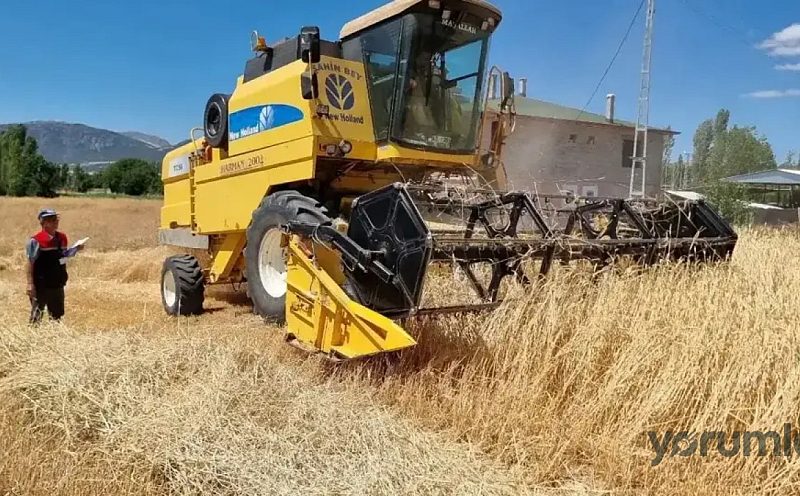 Burdur’da hasatta yüz güldüren sonuç: çiftçinin yeni gözdesi gündemde
