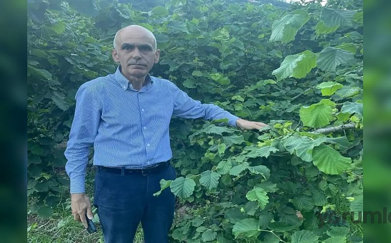 Giresun Ziraat Odası Başkanı Nurittin Karan’dan fındıkta “sessizlik” tepkisi