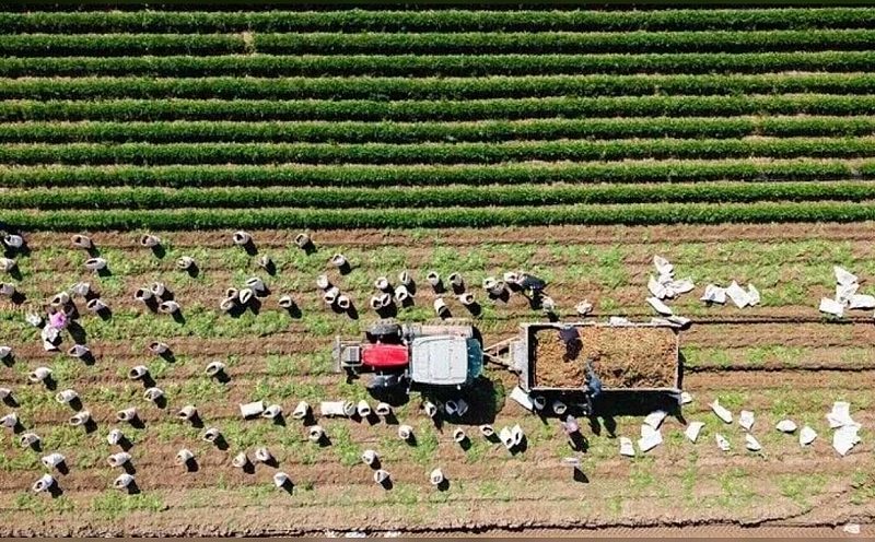 Tarım ve Orman Bakanlığı'ndan Kırsalda 11,3 Milyar Liralık Hibe Desteği