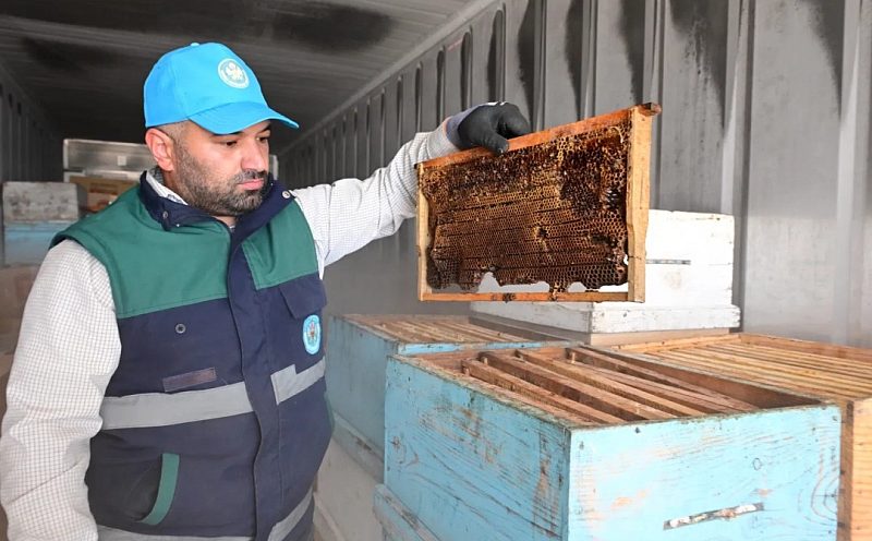 Manisa’da Arıcılara Dev Destek: "Bal Peteği Muhafaza ve Koruma Projesi" Başladı