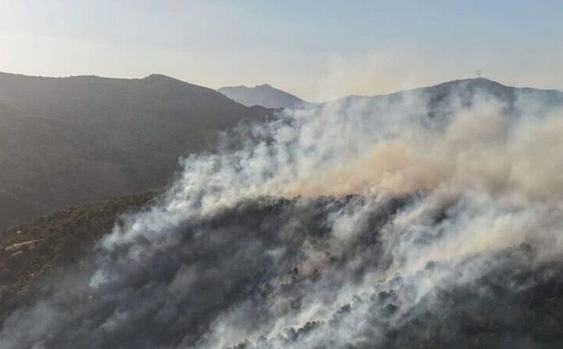 Bingöl'de Orman Yangını: Ekiplerin Hızlı Müdahalesiyle Alevler Kontrol Altına Alındı