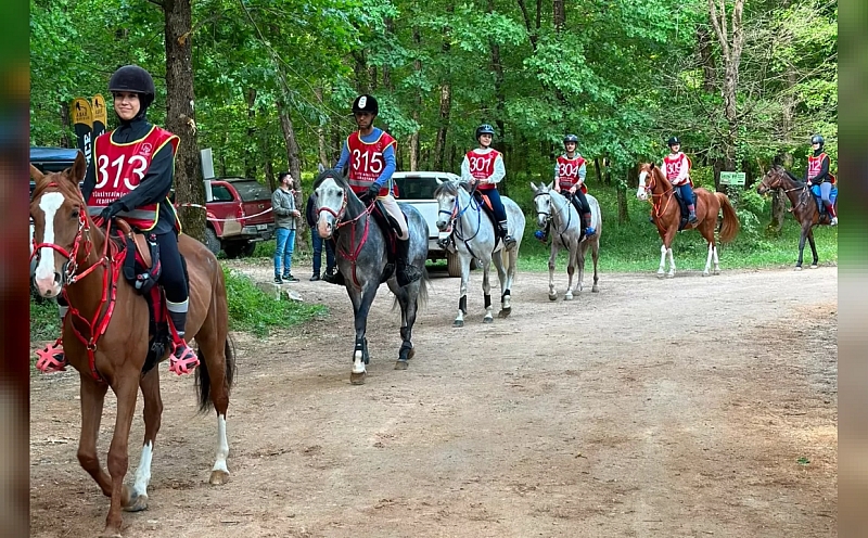 Gebze'de Uluslararası Atlı Dayanıklılık Yarışları Düzenlenecek